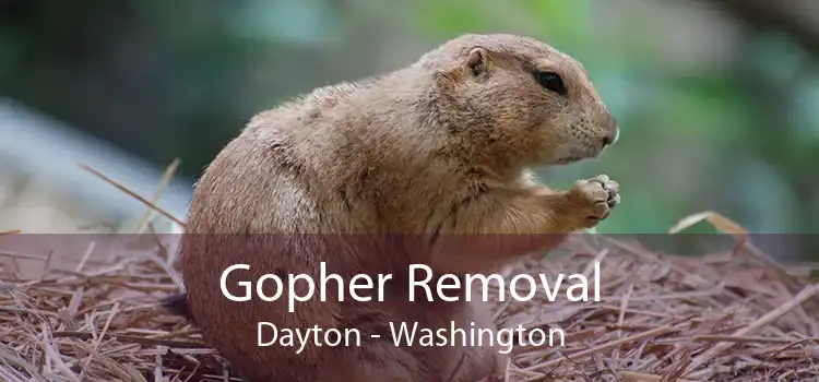 Gopher Removal Dayton - Washington
