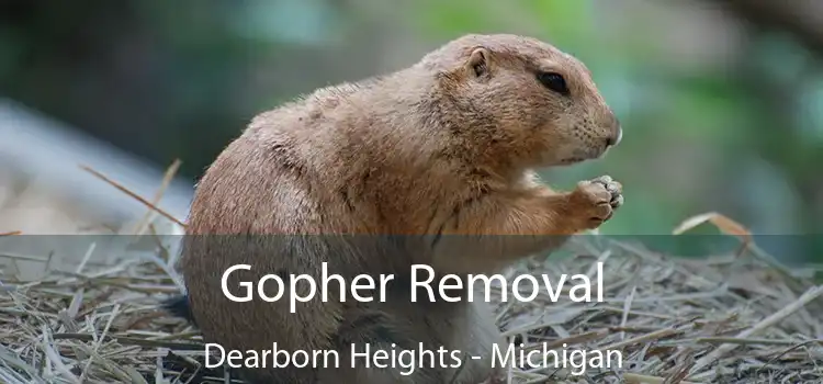 Gopher Removal Dearborn Heights - Michigan