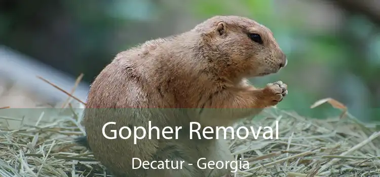 Gopher Removal Decatur - Georgia