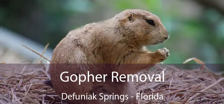 Gopher Removal Defuniak Springs - Florida