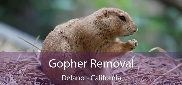 Gopher Removal Delano - California