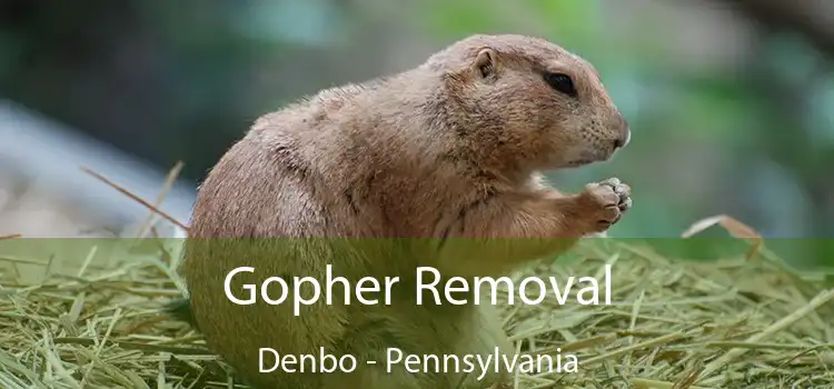 Gopher Removal Denbo - Pennsylvania