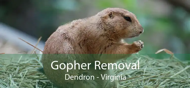 Gopher Removal Dendron - Virginia