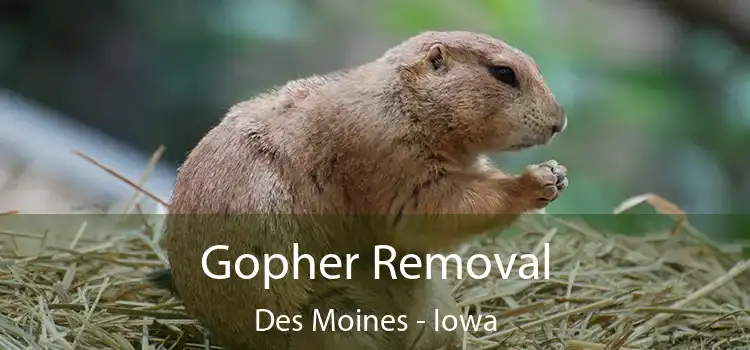 Gopher Removal Des Moines - Iowa