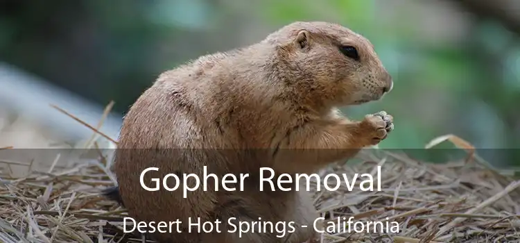 Gopher Removal Desert Hot Springs - California