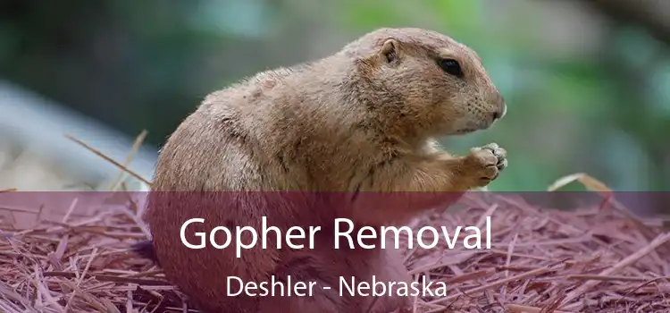 Gopher Removal Deshler - Nebraska