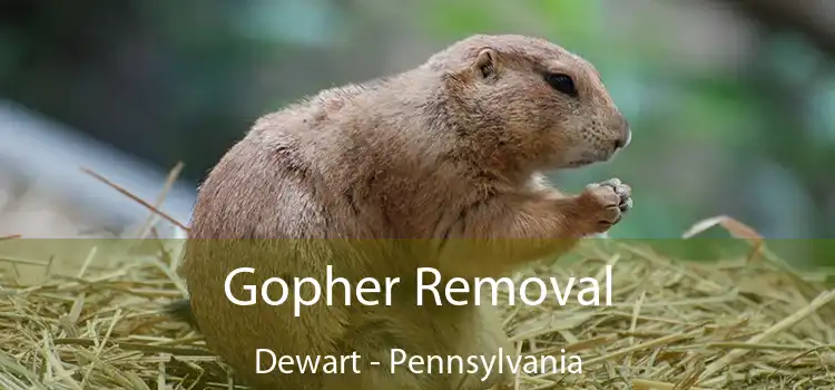 Gopher Removal Dewart - Pennsylvania