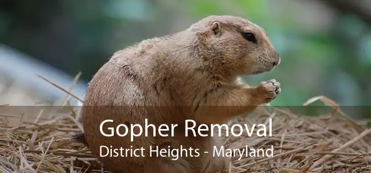 Gopher Removal District Heights - Maryland