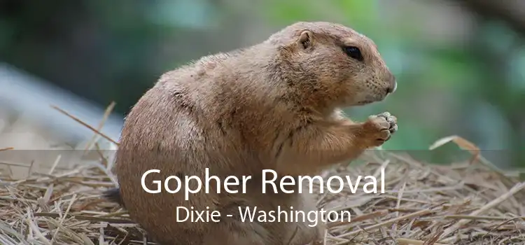 Gopher Removal Dixie - Washington