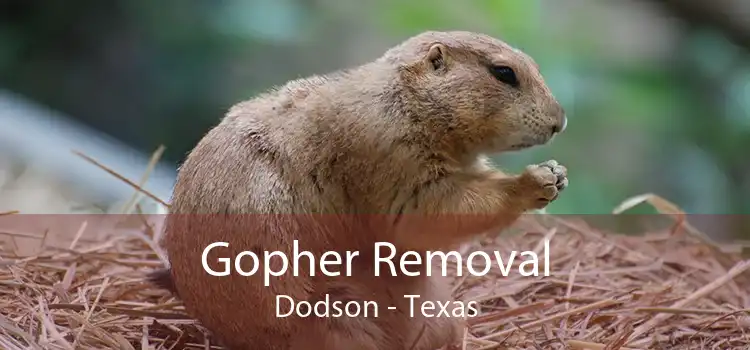 Gopher Removal Dodson - Texas