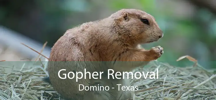 Gopher Removal Domino - Texas