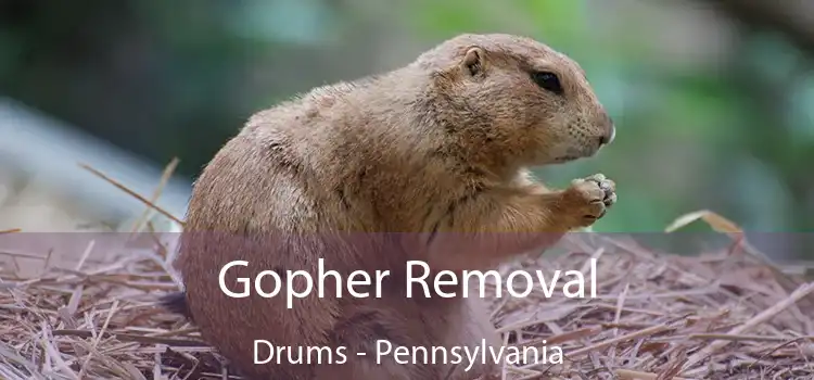 Gopher Removal Drums - Pennsylvania