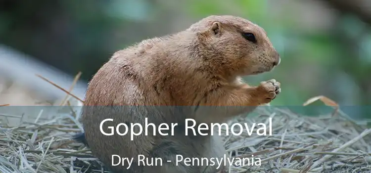 Gopher Removal Dry Run - Pennsylvania