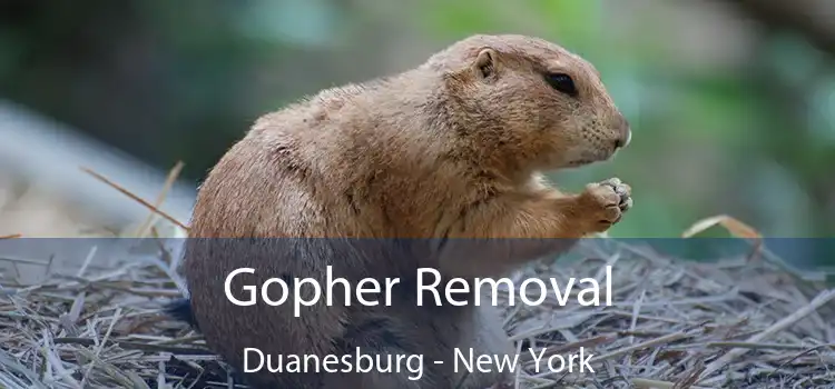 Gopher Removal Duanesburg - New York