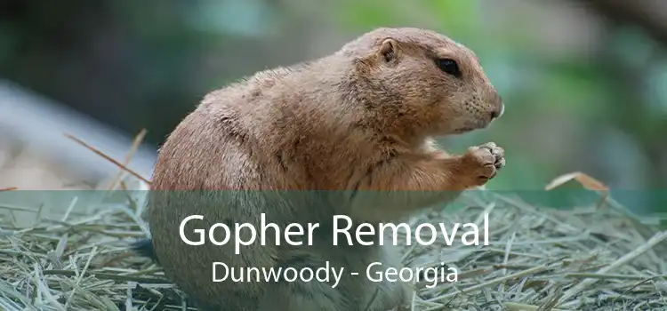 Gopher Removal Dunwoody - Georgia