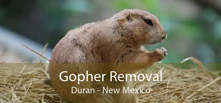 Gopher Removal Duran - New Mexico