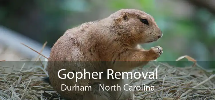 Gopher Removal Durham - North Carolina