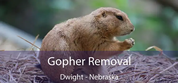 Gopher Removal Dwight - Nebraska