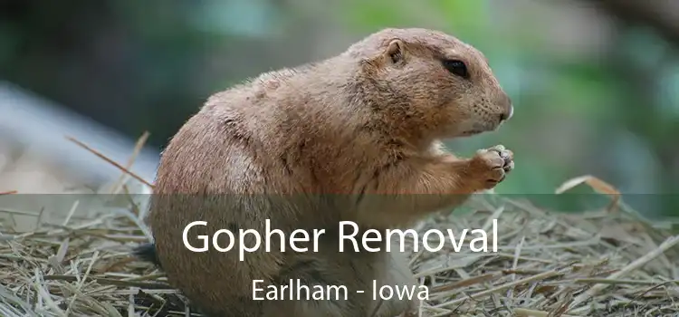 Gopher Removal Earlham - Iowa