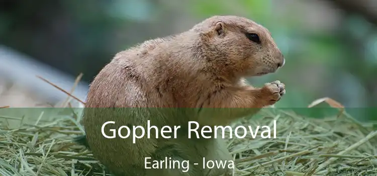 Gopher Removal Earling - Iowa