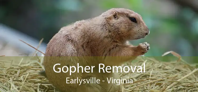 Gopher Removal Earlysville - Virginia
