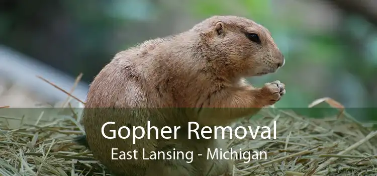 Gopher Removal East Lansing - Michigan