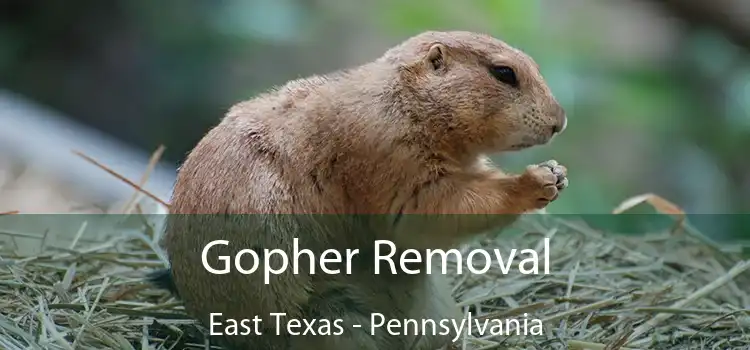 Gopher Removal East Texas - Pennsylvania