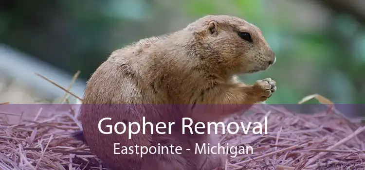 Gopher Removal Eastpointe - Michigan