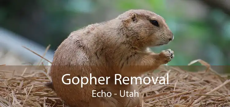 Gopher Removal Echo - Utah