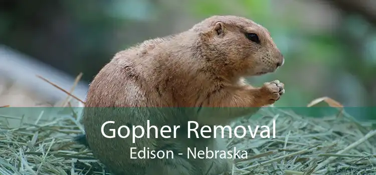 Gopher Removal Edison - Nebraska