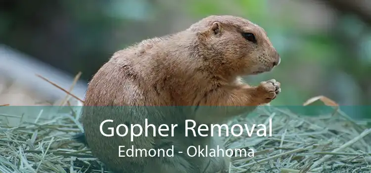 Gopher Removal Edmond - Oklahoma