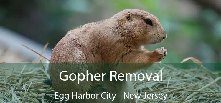 Gopher Removal Egg Harbor City - New Jersey