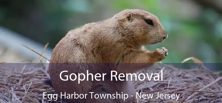 Gopher Removal Egg Harbor Township - New Jersey