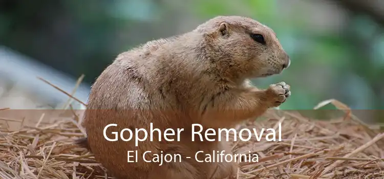 Gopher Removal El Cajon - California