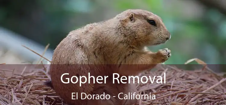 Gopher Removal El Dorado - California