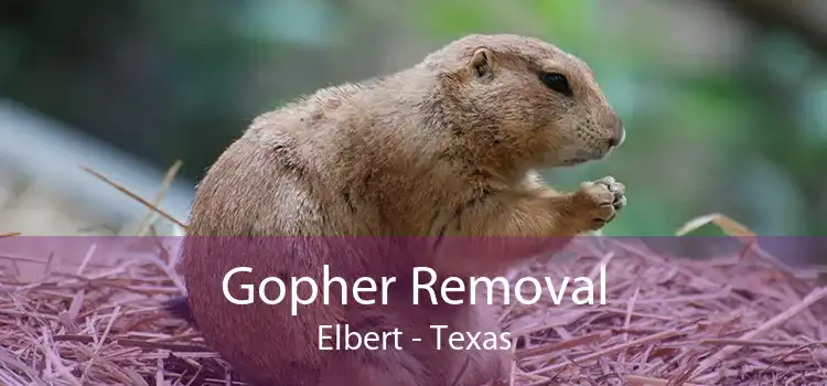 Gopher Removal Elbert - Texas