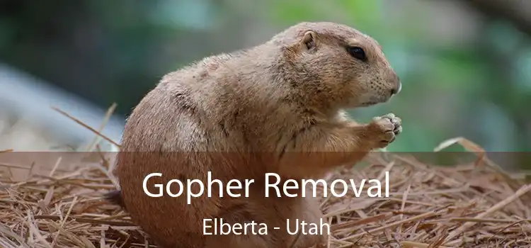 Gopher Removal Elberta - Utah