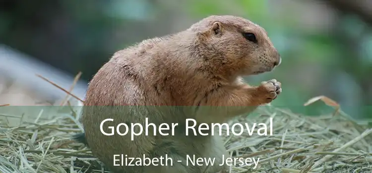 Gopher Removal Elizabeth - New Jersey