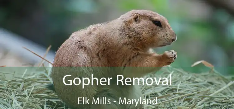 Gopher Removal Elk Mills - Maryland