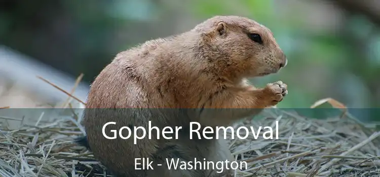 Gopher Removal Elk - Washington