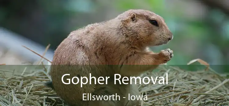 Gopher Removal Ellsworth - Iowa