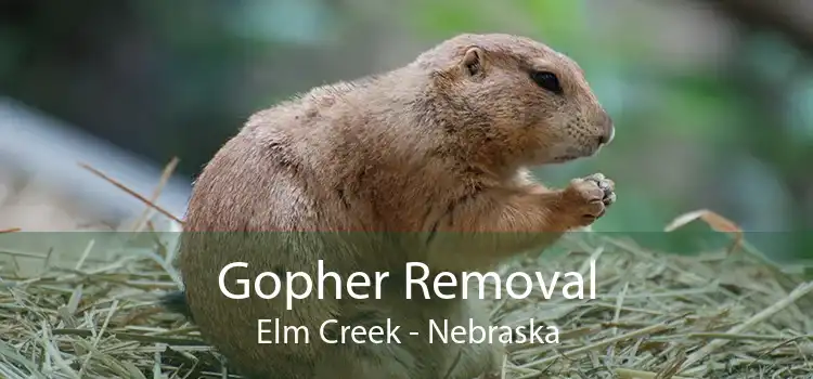 Gopher Removal Elm Creek - Nebraska