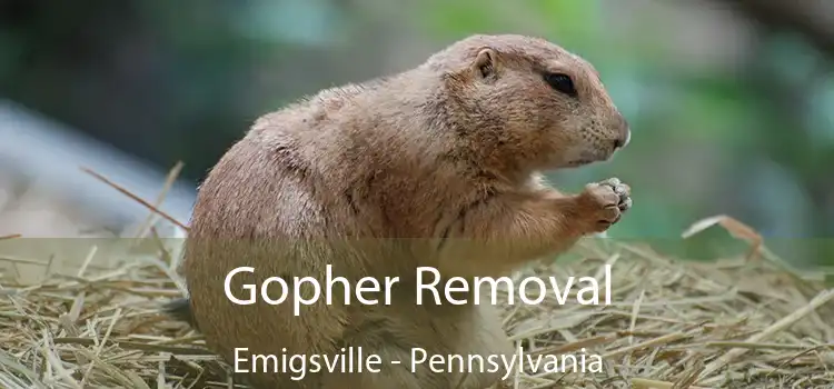 Gopher Removal Emigsville - Pennsylvania