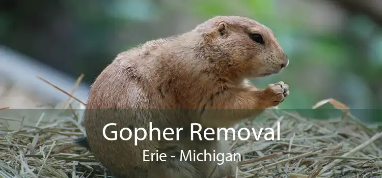 Gopher Removal Erie - Michigan