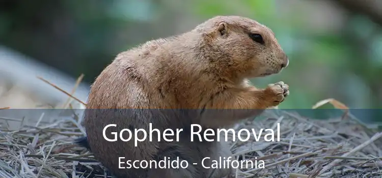 Gopher Removal Escondido - California