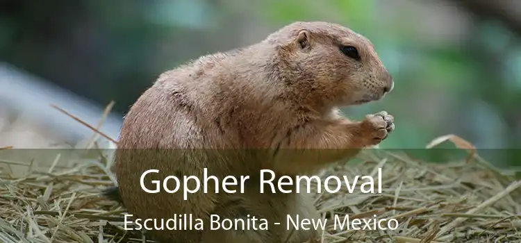 Gopher Removal Escudilla Bonita - New Mexico