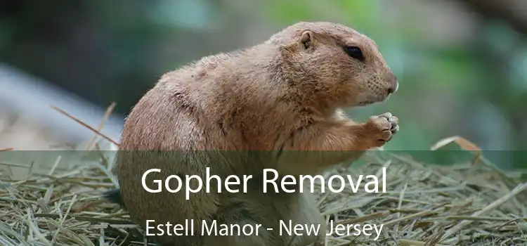 Gopher Removal Estell Manor - New Jersey