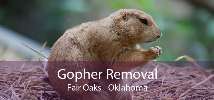 Gopher Removal Fair Oaks - Oklahoma