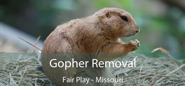 Gopher Removal Fair Play - Missouri