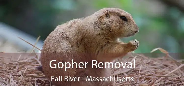 Gopher Removal Fall River - Massachusetts